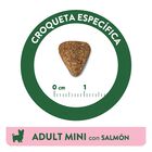Affinity Libra Adult Mini Salmón pienso para perros, , large image number null